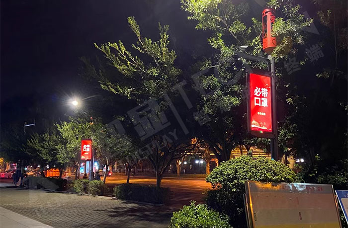 福建龍巖小學周邊道路LED燈桿屏.jpg